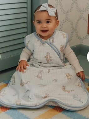 Copper Pearl Pooh & Friends Sleep Bag